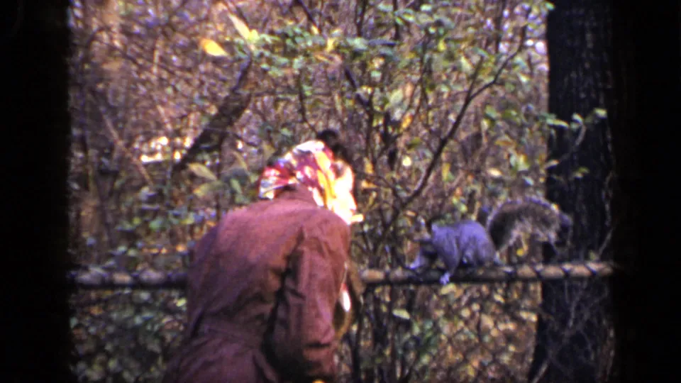 1948 New York park frame showing a woman in a headscarf turned toward a squirrel on a fence, with trees and brush behind them.