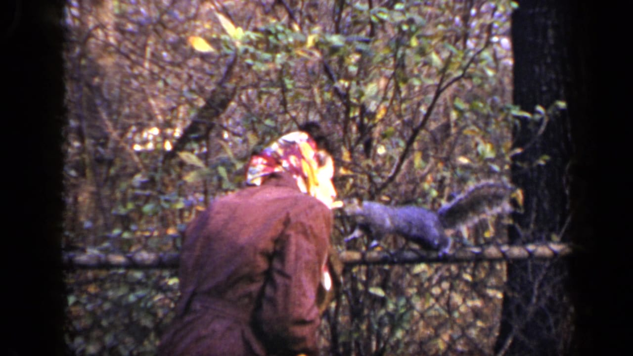 Woman in a brown coat leans near a chain-link fence as a squirrel stands on the rail.