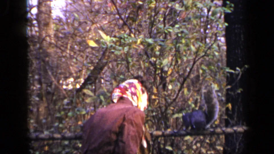 The squirrel remains on the fence beside the woman in a brown coat, with soft-focus trees and brush in the background.