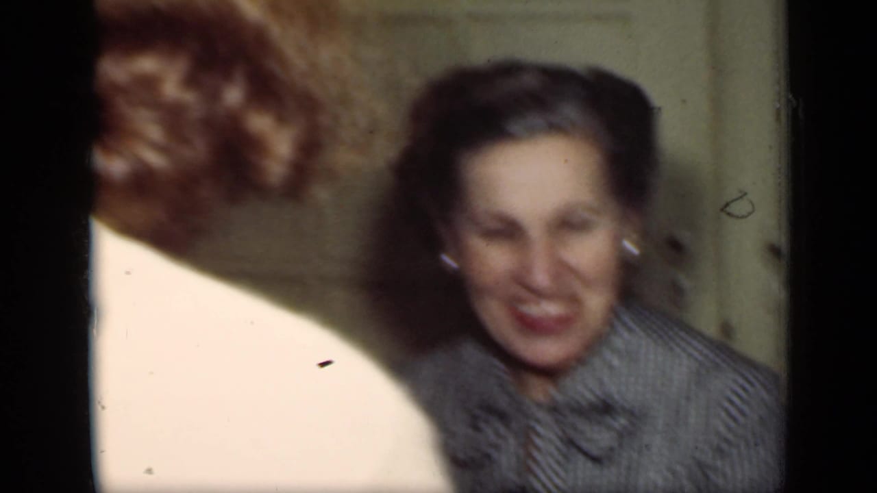 Smiling woman in a checkered dress faces another guest near the table.
