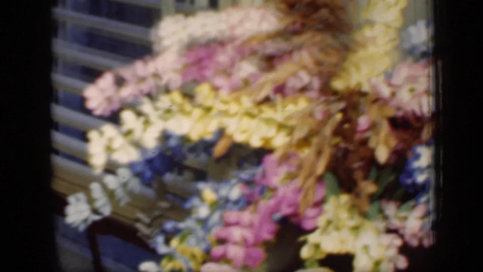 A bouquet of pink, yellow, blue, and white flowers fills the foreground near window blinds in supported 1949 New York footage.