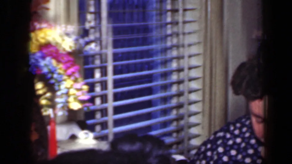 A woman in a blue polka-dot dress sits by venetian blinds and flowers during the 1949 New York home dinner scene.