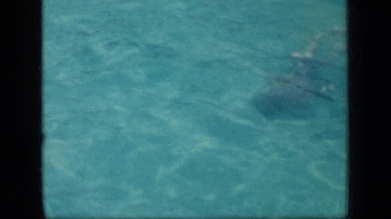 Swimmer seen through rippling turquoise pool water near dark film-frame borders.