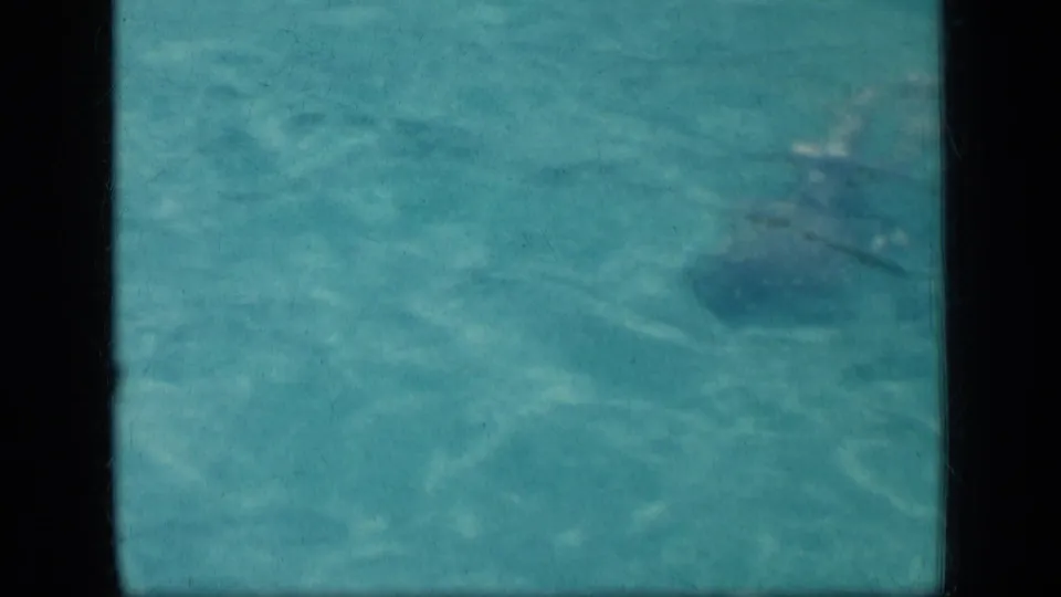 1957 New York 8mm frame showing a swimmer partly submerged in a public pool, viewed through rippling turquoise water.