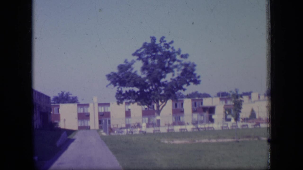 Large tree on a lawn in front of a low-rise apartment building under a pale sky.