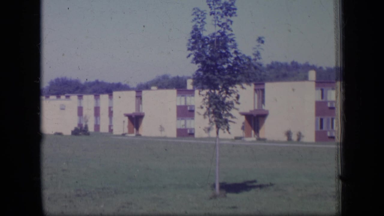 Apartment buildings across a green lawn with a young tree in the foreground.