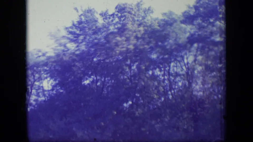 1970 New Jersey home-movie frame of woodland treetops under a bright sky, softened by grain, fading, and slight blur.
