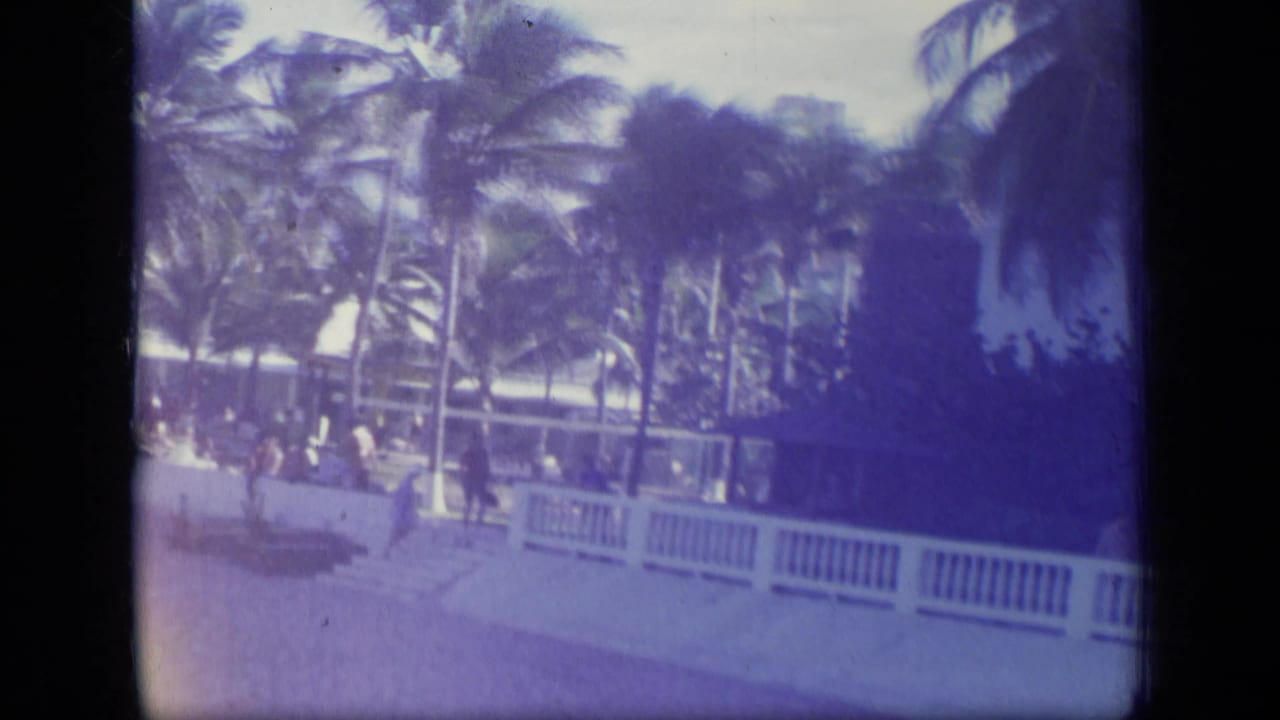 Palm-lined beach area with a white railing and resort-style structures in faded 8mm color.