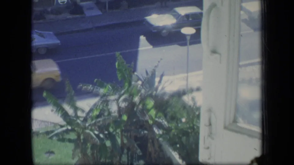 1970 Puerto Rico home-movie view from a window, looking past tropical plants toward cars moving along a sunny street.