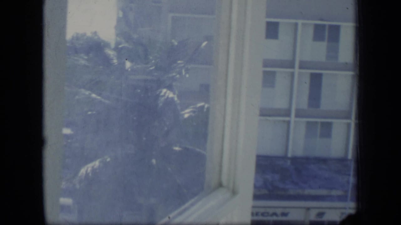 Window view of palms and a pale building above a fountain pool.