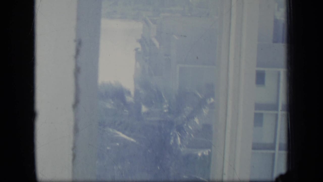 Window panes frame palm foliage and a pale building above water.