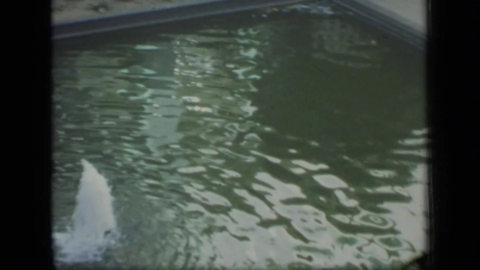 1970 Puerto Rico 8mm view of a fountain jet and rippling pool seen through dark vertical window mullions.