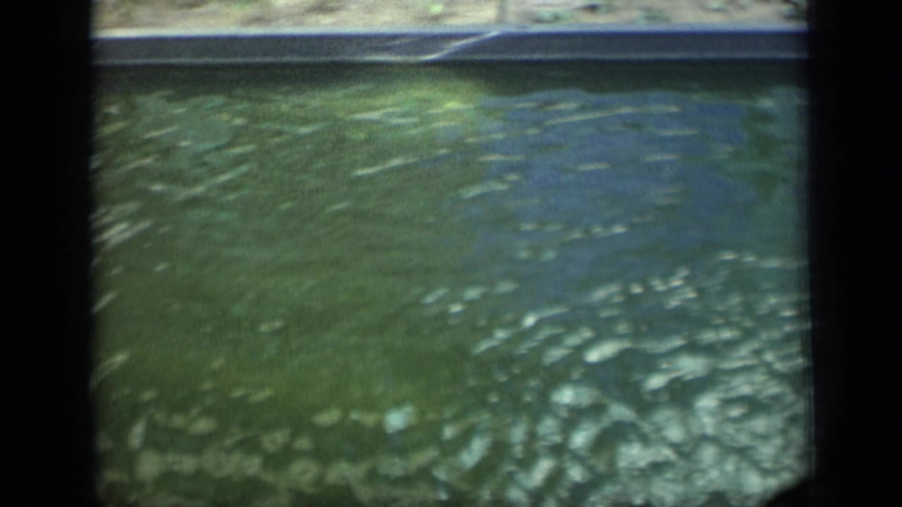 Rippling green water seen through dark film-frame borders.