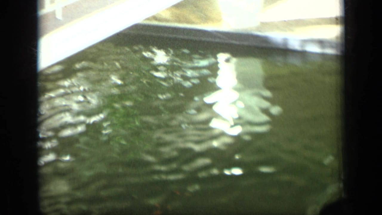 1970 Puerto Rico frame with rippling water below a bright diagonal bridge structure or railing, seen in faded 8mm color.