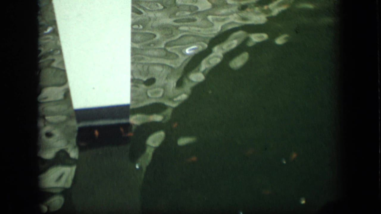 White bridge support and green rippling water with small fish below.