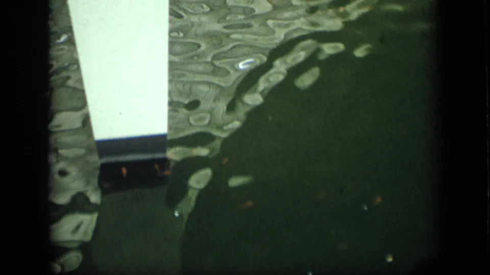 1970 Puerto Rico frame looking down past a white bridge support into green water with small fish visible.