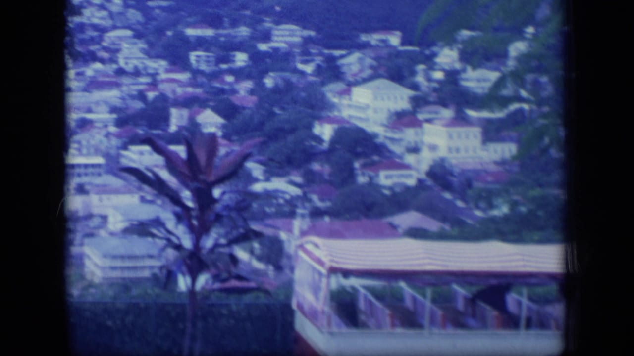 Red and white tour bus passing below a hillside town with tropical plants in the foreground.