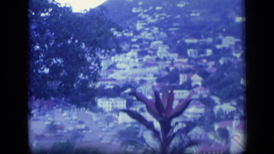 1970 Puerto Rico 8mm frame looking through trees toward a hillside town and possible harbor, with tropical plants in the foreground.