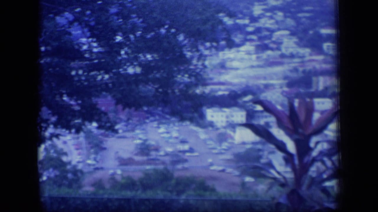 1970 Puerto Rico home-movie frame looking through dark trees toward a coastal town, parking area, and waterway below.