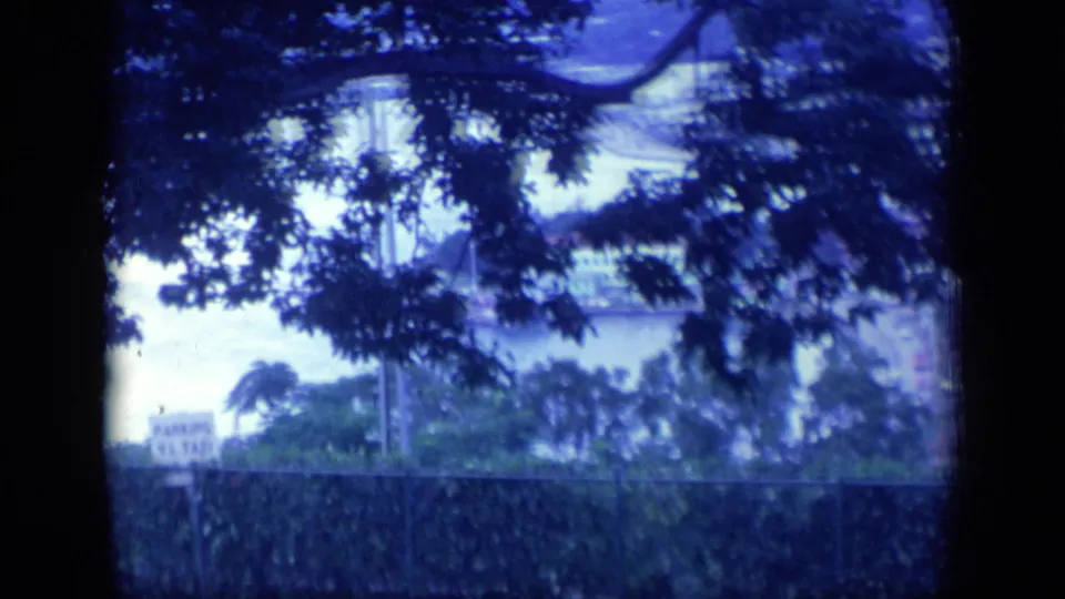 1970 Puerto Rico hillside frame with dark foliage, a small parking sign, roadside vegetation, and pale water visible beyond.