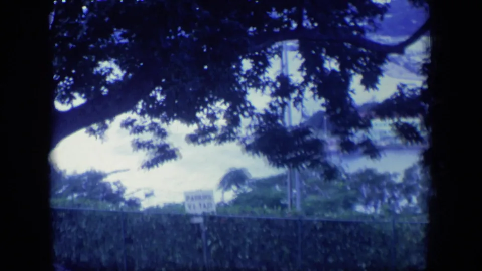 1970 Puerto Rico frame from a shaded overlook, showing a tree canopy, parking sign, greenery, and water beyond the hillside.