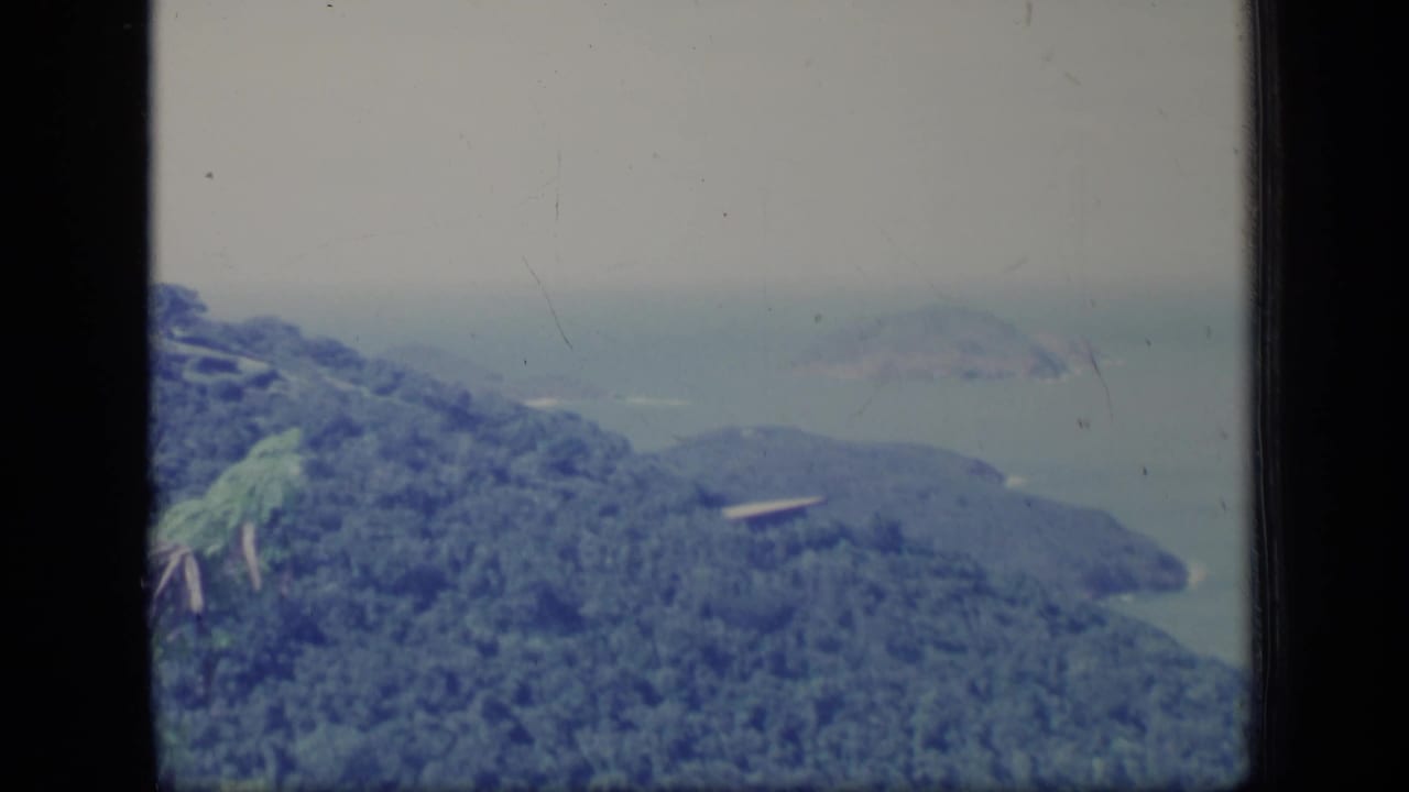 Coastal hillside with dense trees, hazy water, and a small pale structure.