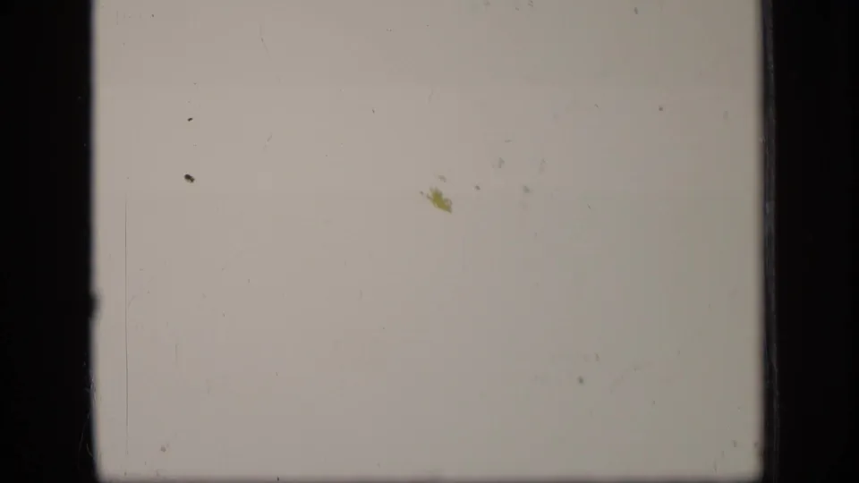 A pale blank 8mm frame with visible dust, scratches and dark film gate edges.