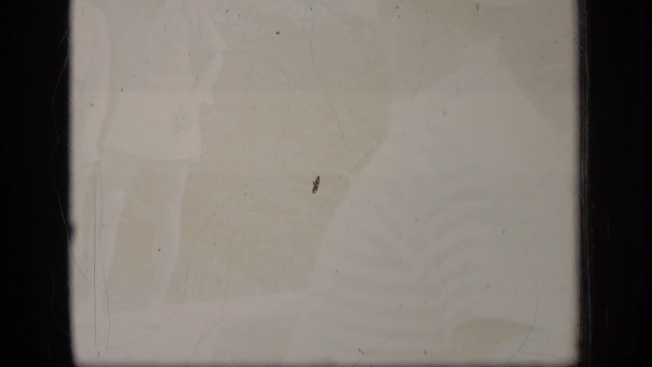 A hazy, overexposed opening frame from 1970 Puerto Rico 8mm footage, with little landscape detail visible and dark vertical film borders at the sides.