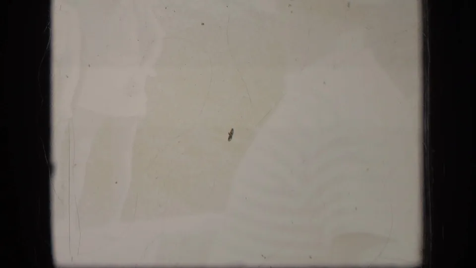 A hazy, overexposed opening frame from 1970 Puerto Rico 8mm footage, with little landscape detail visible and dark vertical film borders at the sides.