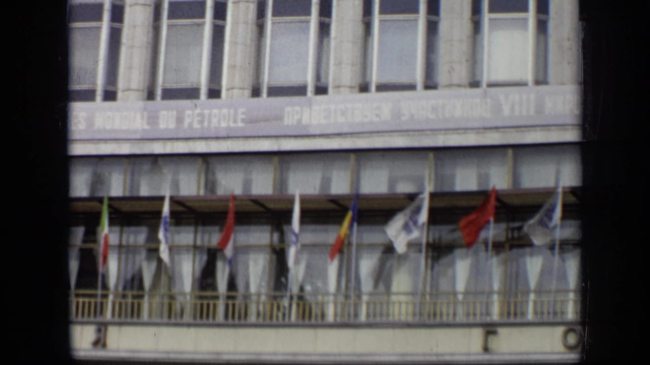 Row of international flags below a long congress banner on a large building.