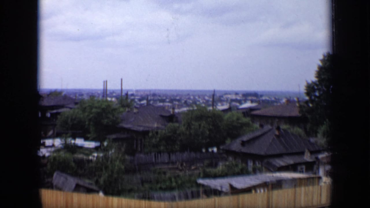 Rooftop view over dark-roofed houses, trees and distant smokestacks under a cloudy sky.