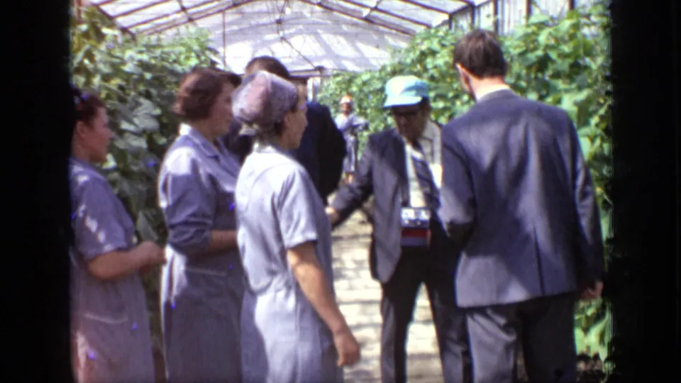 Inside a Moscow greenhouse, apron-wearing workers and suited visitors gather among rows of green plants in 1971 home-movie footage.