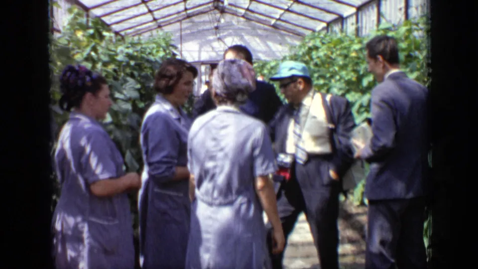Workers in aprons and men in suits appear to converse inside a 1971 Moscow greenhouse, surrounded by dense plant rows.