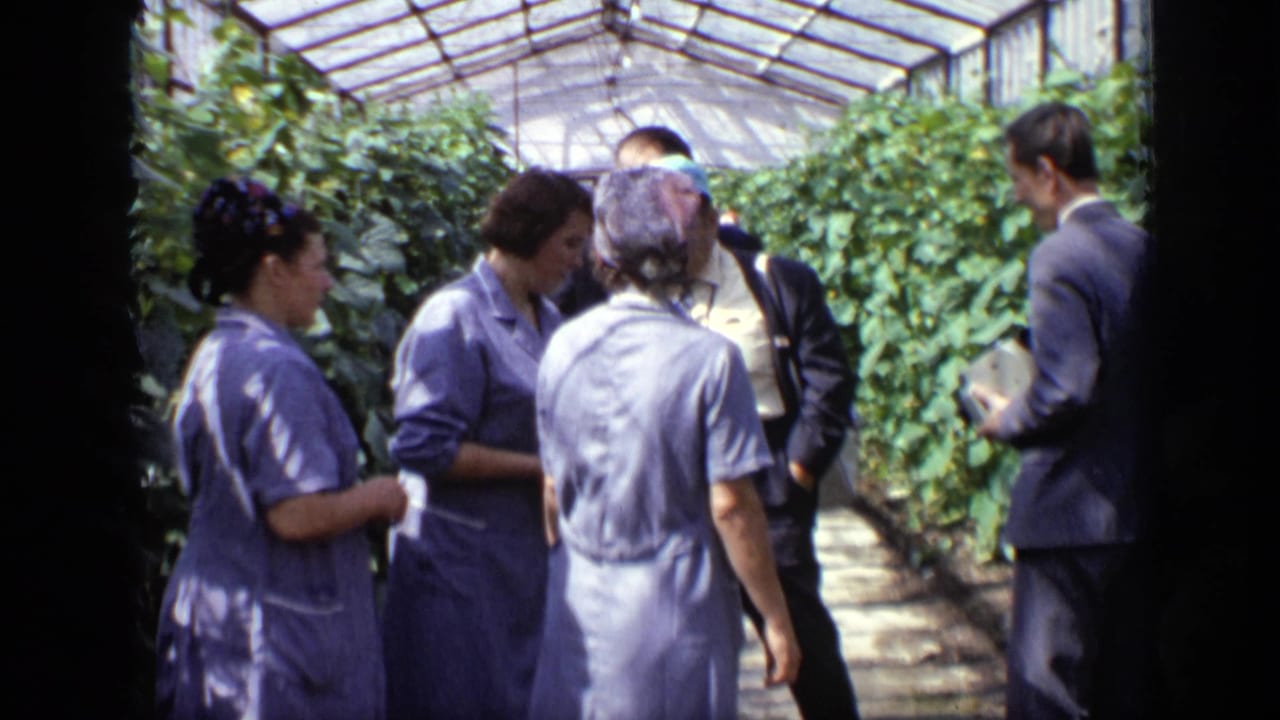 In a Moscow greenhouse in 1971, adults in period clothing gather near dense plants beneath a glass roof.