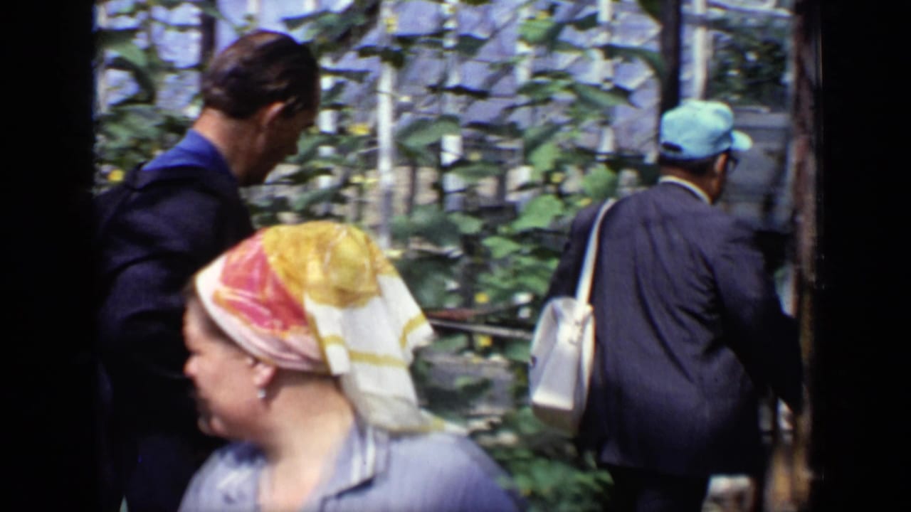 Adults move through a greenhouse beside leafy plants and metal framing.