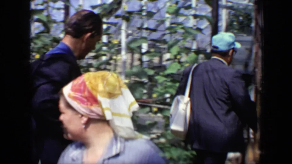 Adults in period clothing walk through a plant-filled Moscow greenhouse, with one woman in a colorful headscarf in the foreground.