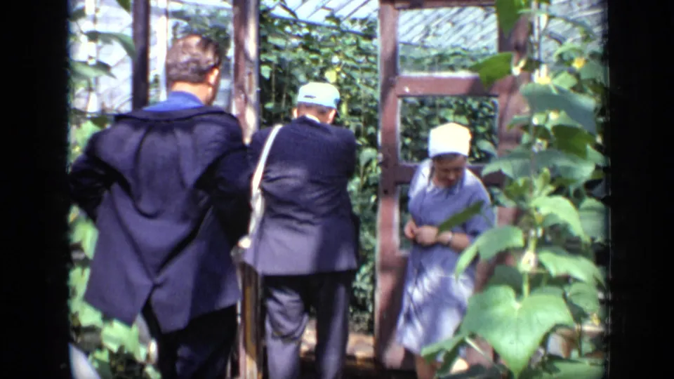 Two men in dark outerwear and a woman in blue move through a Moscow greenhouse aisle in 1971.