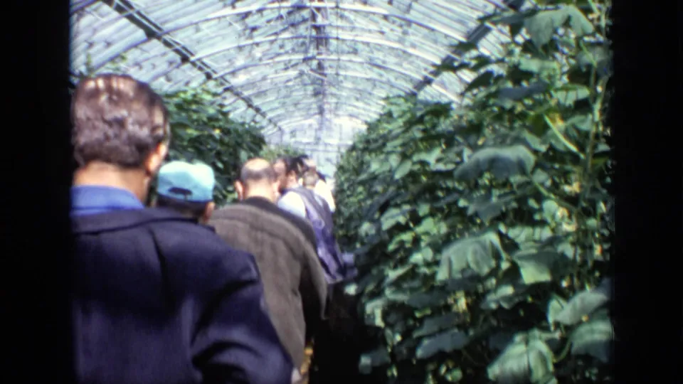 Adults walk away from the camera through a long Moscow greenhouse aisle beneath a glass roof.