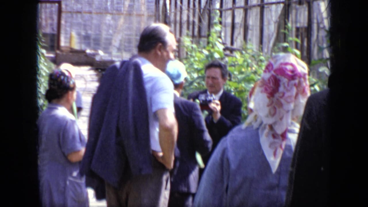 A group of adults stands and walks among plants inside a greenhouse.