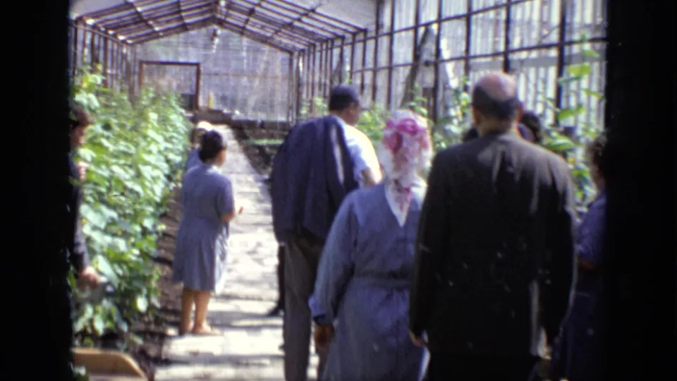 A handheld 8mm view follows visitors from behind as they proceed through the greenhouse walkway in Moscow.