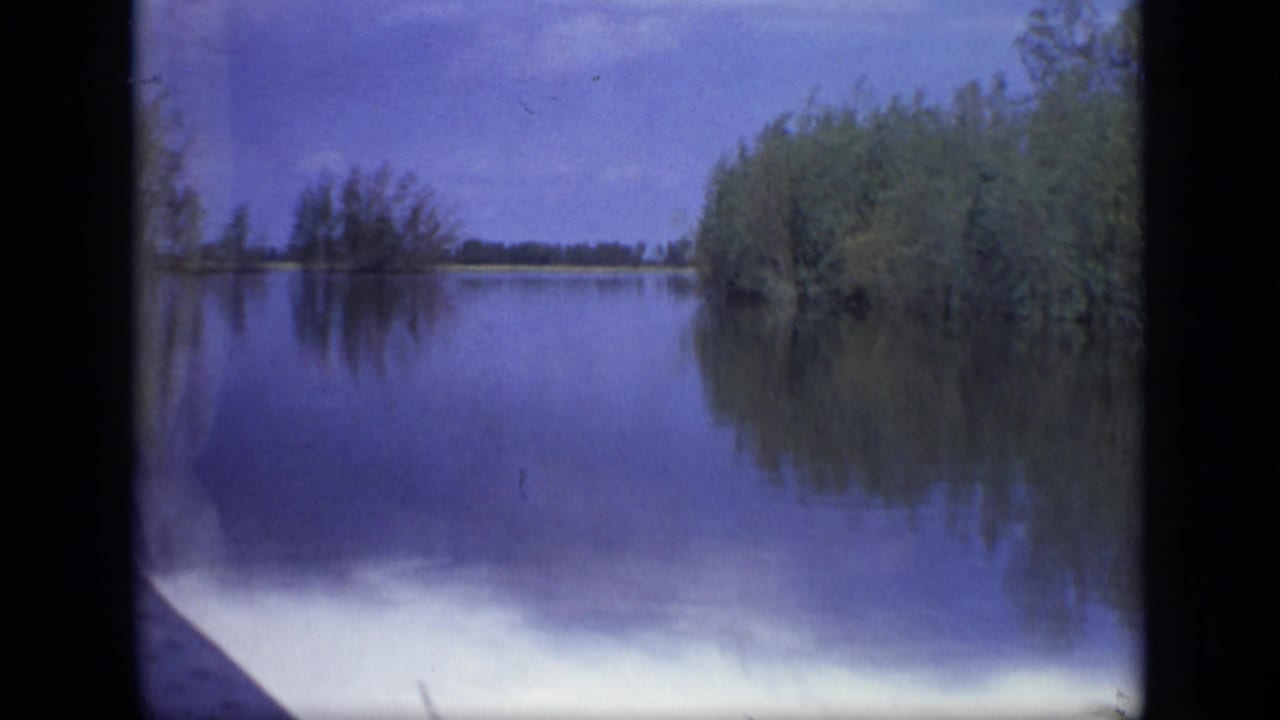 Calm lake with reeds, tree line, reflections, and blue sky seen from near the water.