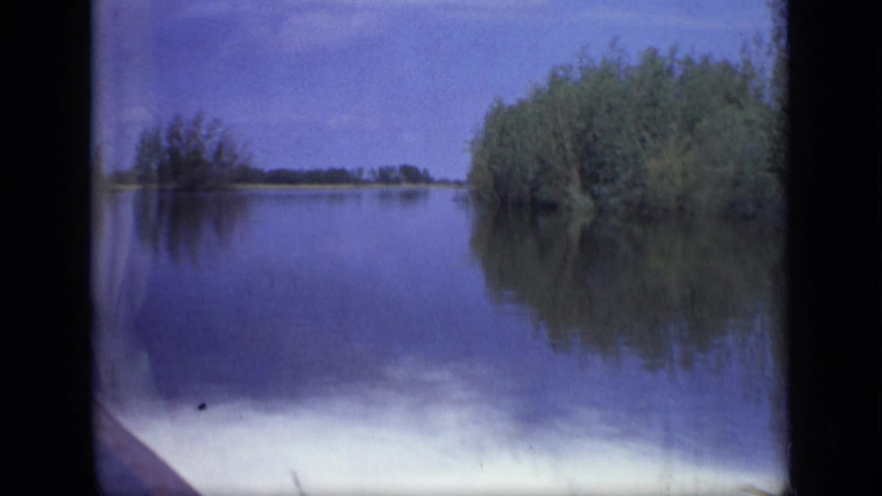 Still water bordered by dense reeds and trees, with reflections under a blue sky.