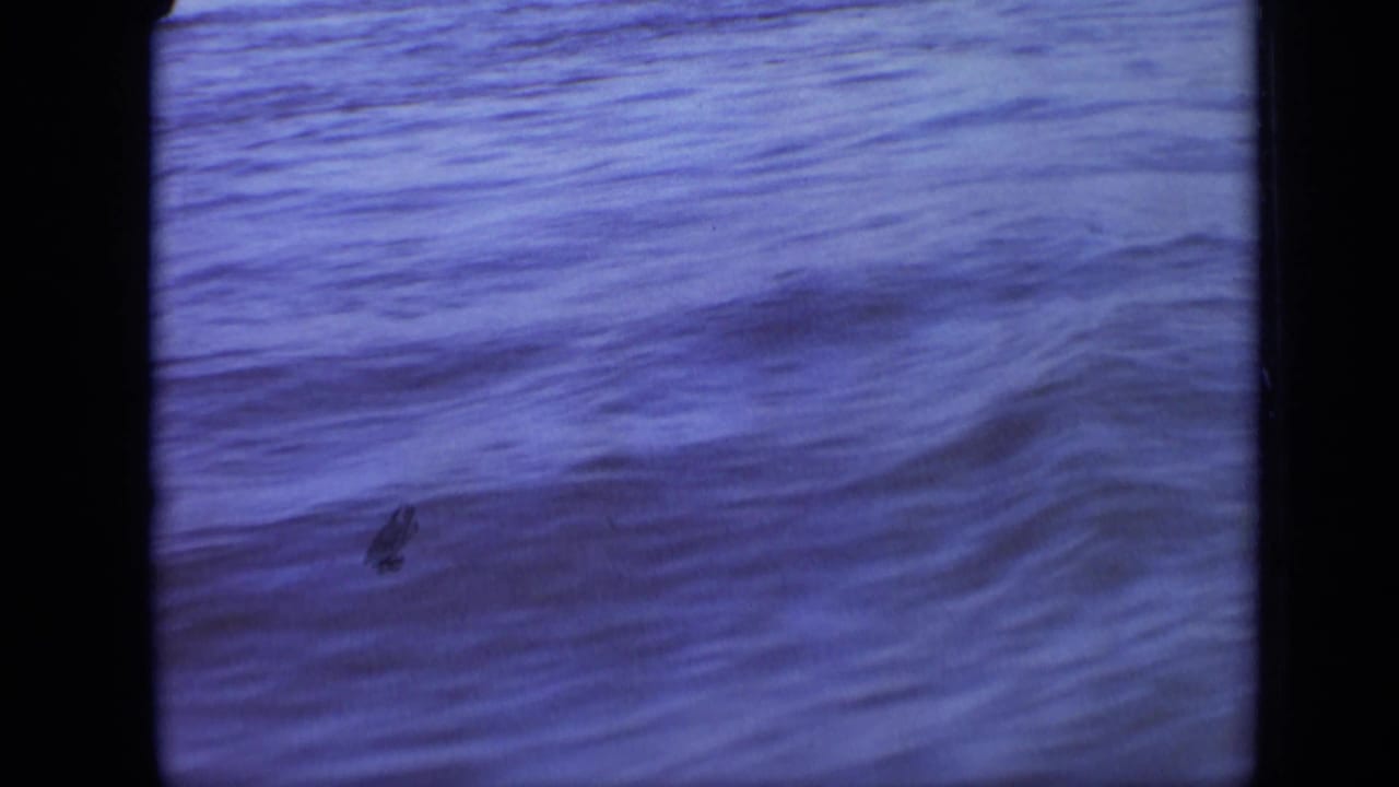 Blue-shifted 1971 8mm frame of rippling water in Moscow, framed by dark gate edges with no people or landmarks visible.