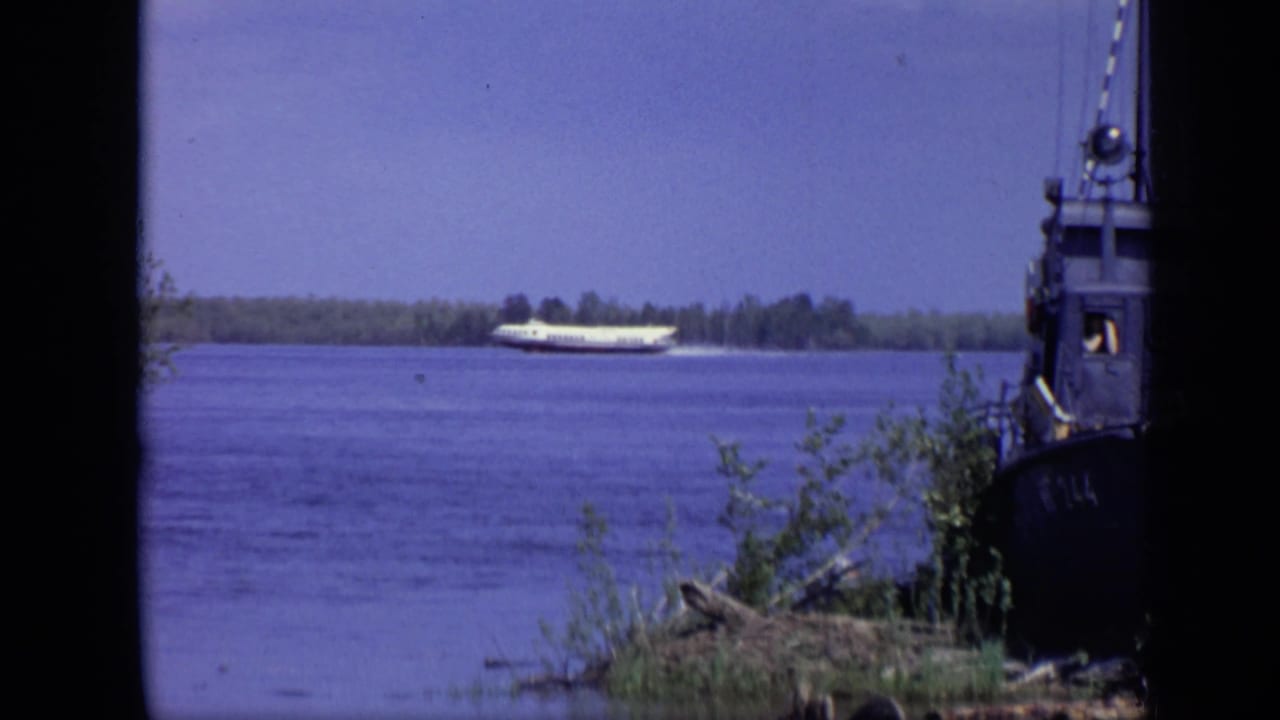 White passenger ferry crossing a wide river with a dark vessel and trees in the foreground.