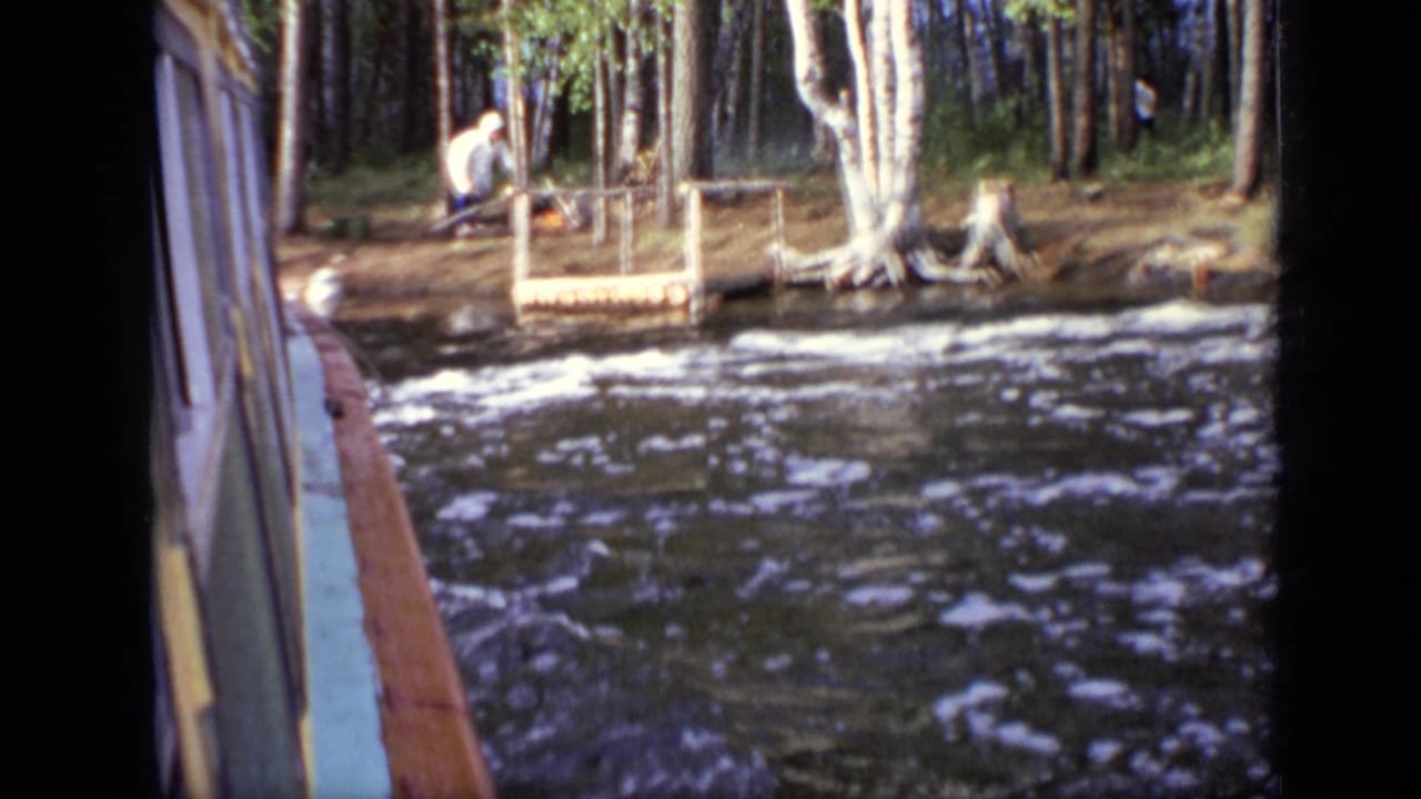 Wooded riverside view with a small dock, birch trees, water, and a distant person.
