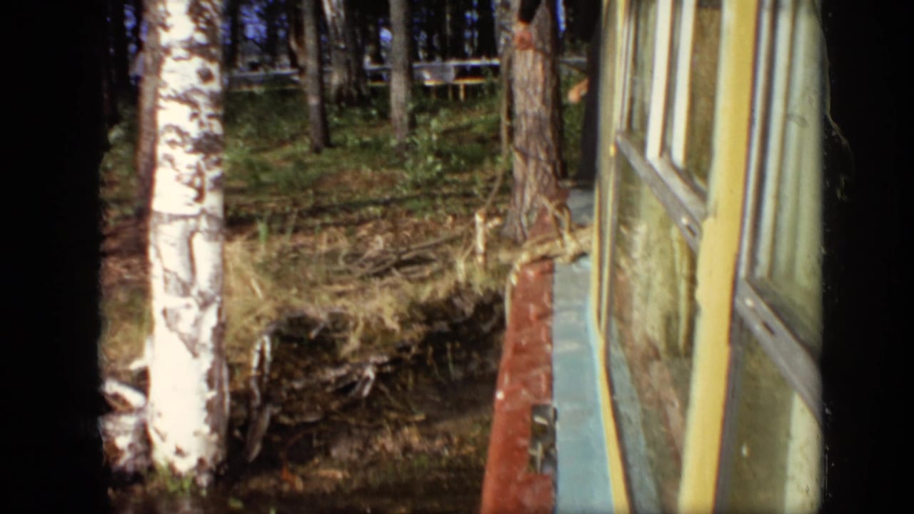 Wooded Moscow riverside scene from 1971 with birch trunks, forest floor, window frames, and a dark film or vehicle divider.