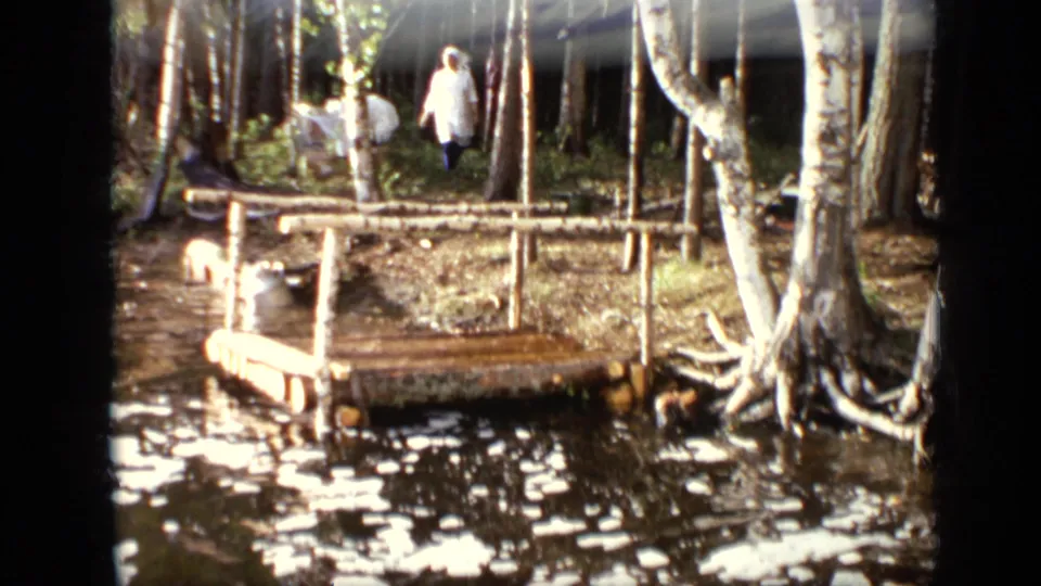 Moscow 1971 riverside frame with a wooden dock, birch trees, water, and two distant people near the wooded bank.