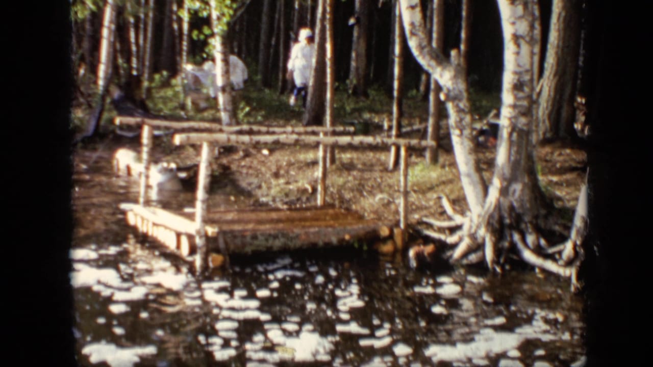 1971 Moscow 8mm frame showing a rustic dock over water, birch trees, and a woman in a light dress walking through the woods.