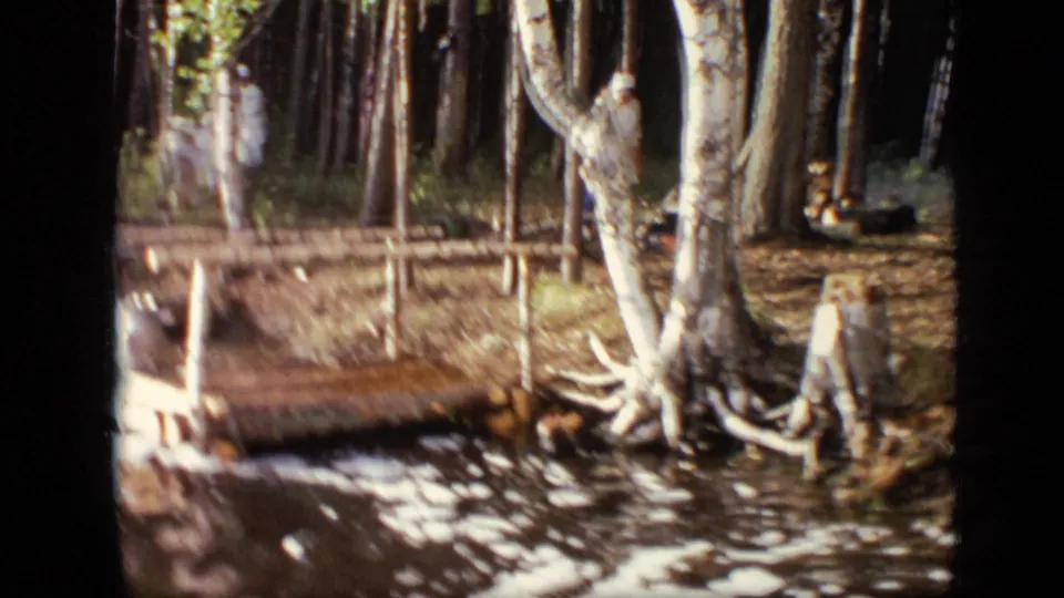 Soft, motion-blurred 1971 Moscow 8mm frame showing a dock over water, tree trunks, and a woman or figure moving in the woods.
