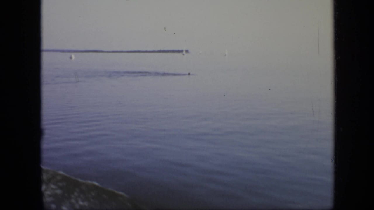 Calm water under a pale sky with a distant line near the horizon.